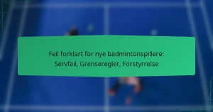 Feil forklart for nye badmintonspillere: Servfeil, Grenseregler, Forstyrrelse