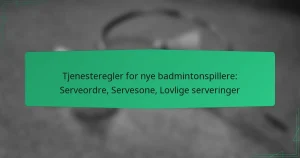 Tjenesteregler for nye badmintonspillere: Serveordre, Servesone, Lovlige serveringer