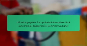 Utfordringssystem for nye badmintonspillere: Bruk av teknologi, Klageprosess, Dommermyndighet