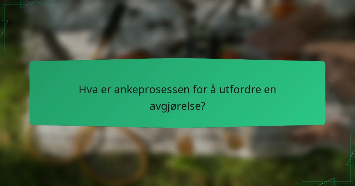 Hva er ankeprosessen for å utfordre en avgjørelse?